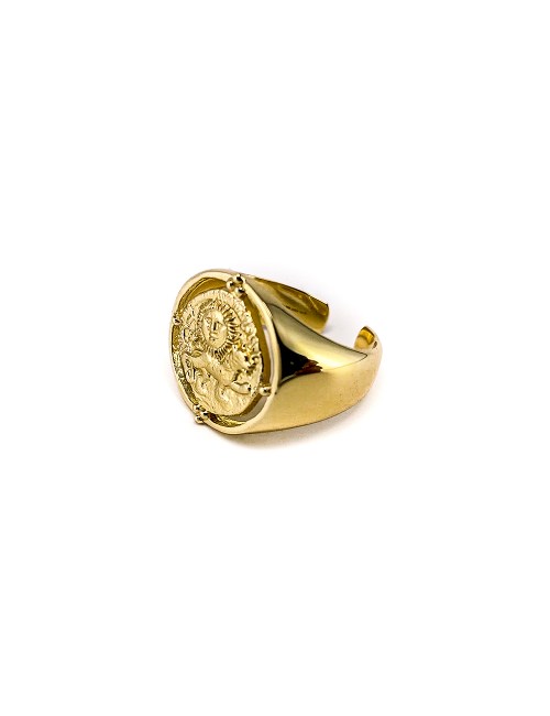 Seljuks Signet Adjustable Ring Ania Haie - R020-03G